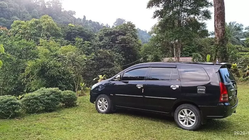 Majatalo Green Forest Tangkahan