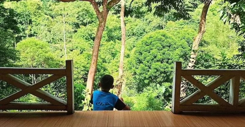 Majatalo Green Forest Tangkahan