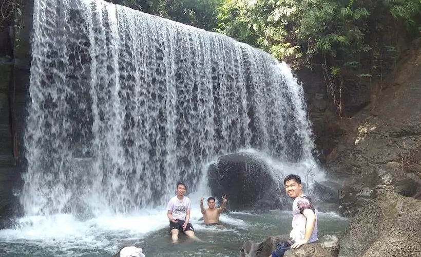 Majatalo Green Forest Tangkahan