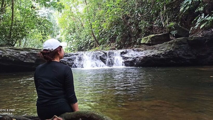 Пансион Green Forest Tangkahan