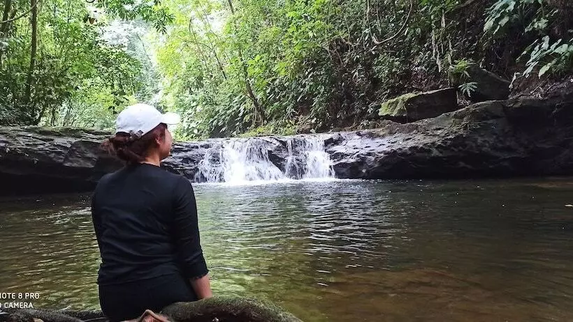 Majatalo Green Forest Tangkahan