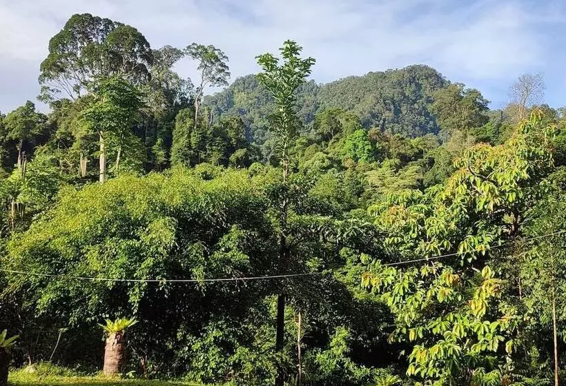 Majatalo Green Forest Tangkahan