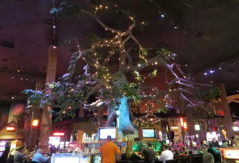 酒店 Buffalo Bills Resort & Casino