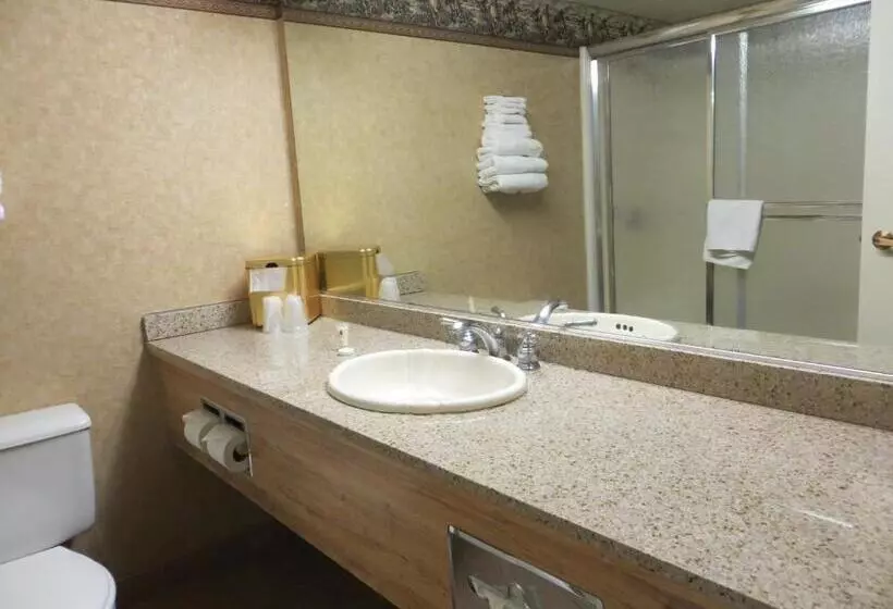 酒店 Buffalo Bills Resort & Casino