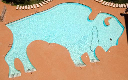 Otel Buffalo Bills Resort & Casino