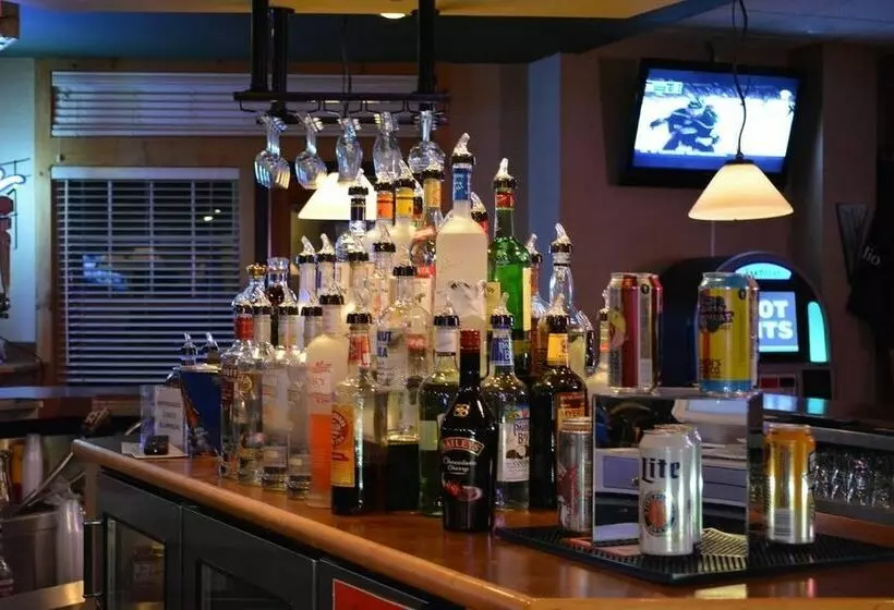 Отель Lodge At Giants Ridge