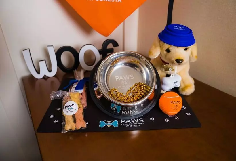 酒店 Sonesta Simply Suites Plano Frisco