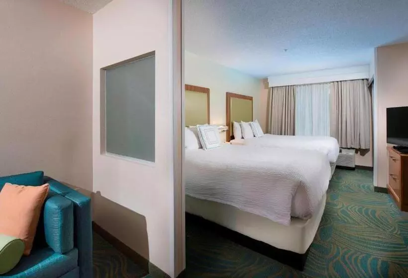 ホテル Springhill Suites By Marriott Atlanta Alpharetta