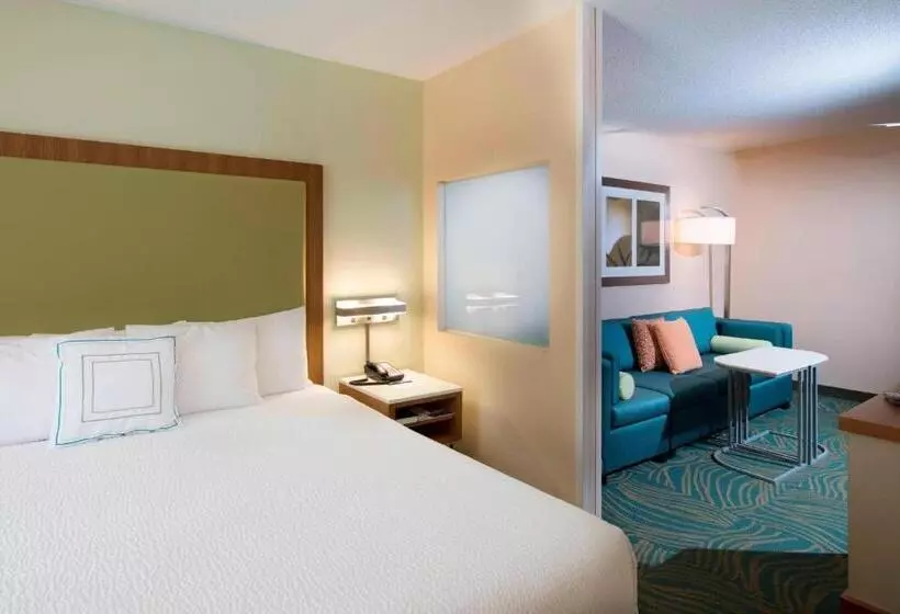 ホテル Springhill Suites By Marriott Atlanta Alpharetta
