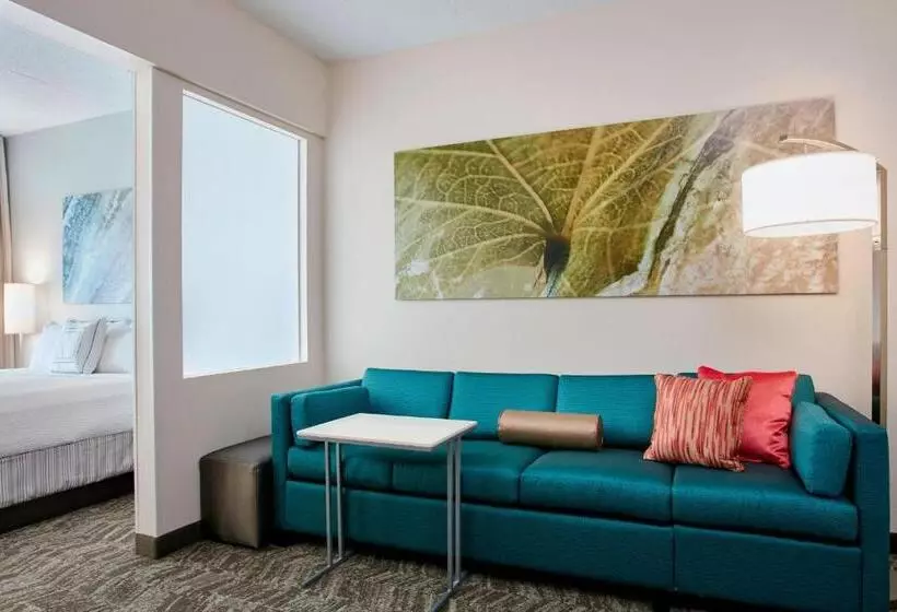 호텔 Springhill Suites By Marriott Chicago Schaumburg/woodfield Mall
