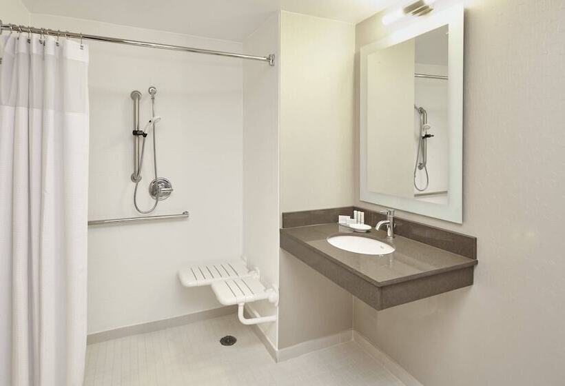 Otel Springhill Suites By Marriott Chicago Schaumburg/woodfield Mall