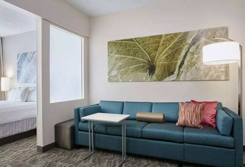 호텔 Springhill Suites By Marriott Chicago Schaumburg/woodfield Mall