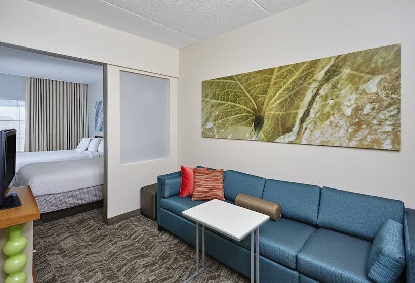 Otel Springhill Suites By Marriott Chicago Schaumburg/woodfield Mall