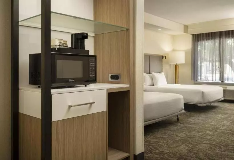 호텔 Springhill Suites Fort Worth University