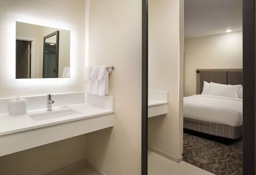 호텔 Springhill Suites Fort Worth University