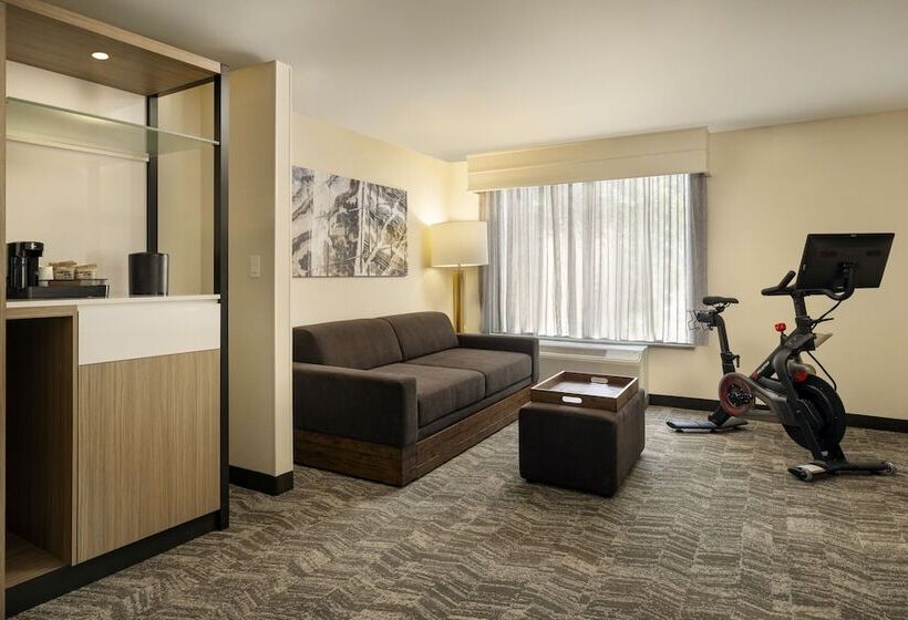 هتل Springhill Suites Fort Worth University