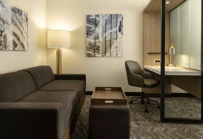 호텔 Springhill Suites Fort Worth University