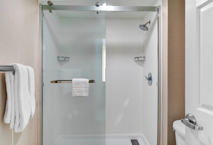 فندق Springhill Suites Jacksonville