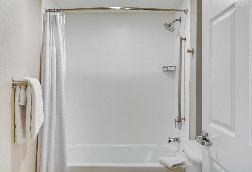 فندق Springhill Suites Jacksonville