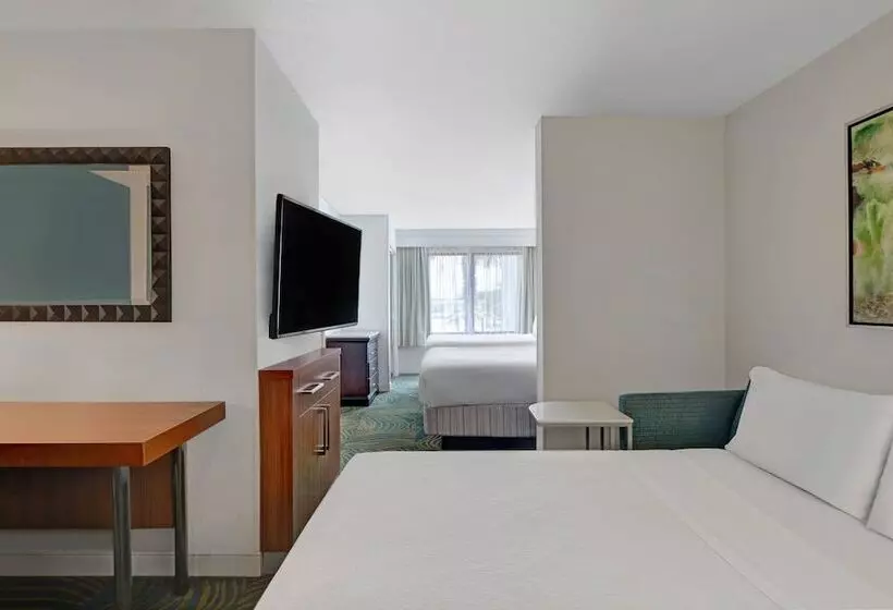 هتل Springhill Suites Jacksonville