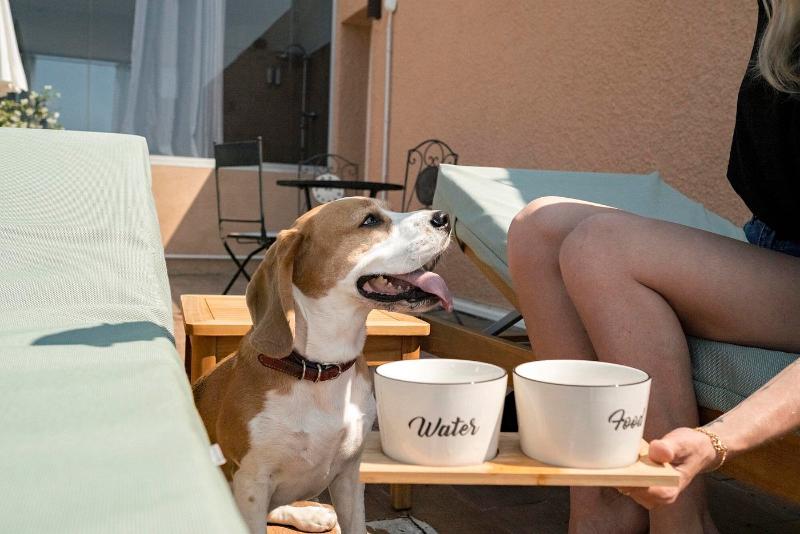 호텔 Surplage Hôtel Cavalière