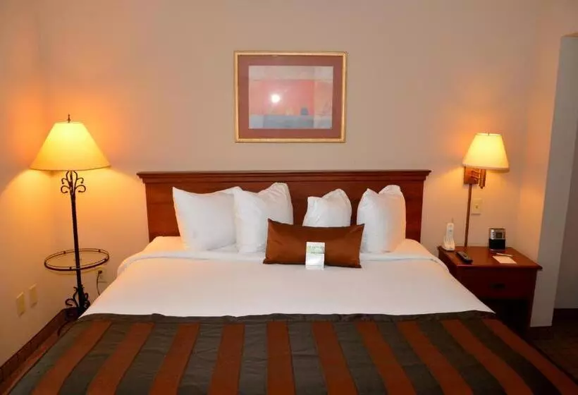 هتل Wingate By Wyndham West Monroe