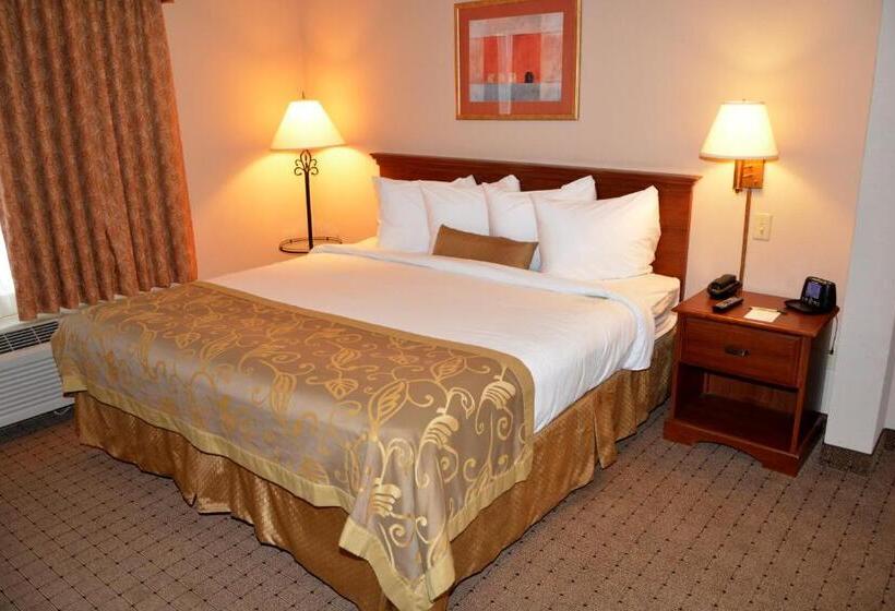 Szálloda Wingate By Wyndham West Monroe