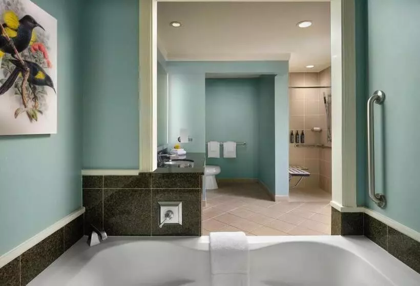 The Westin Ka Anapali Ocean Resort Villas