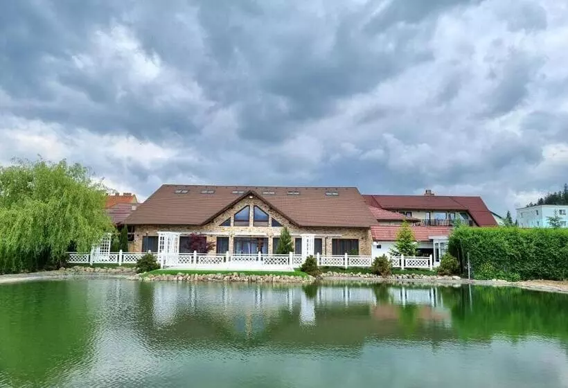 هتل Vila Restaurant Transilvania