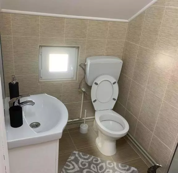 ペンション Casa Madalina