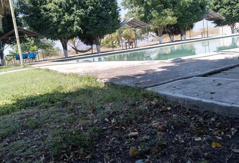 Pansiyon Room In Guest Room   Lodging And Camping The Island