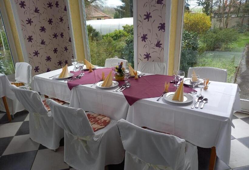 مبيت وإفطار Fábiánics Kastély Misefa