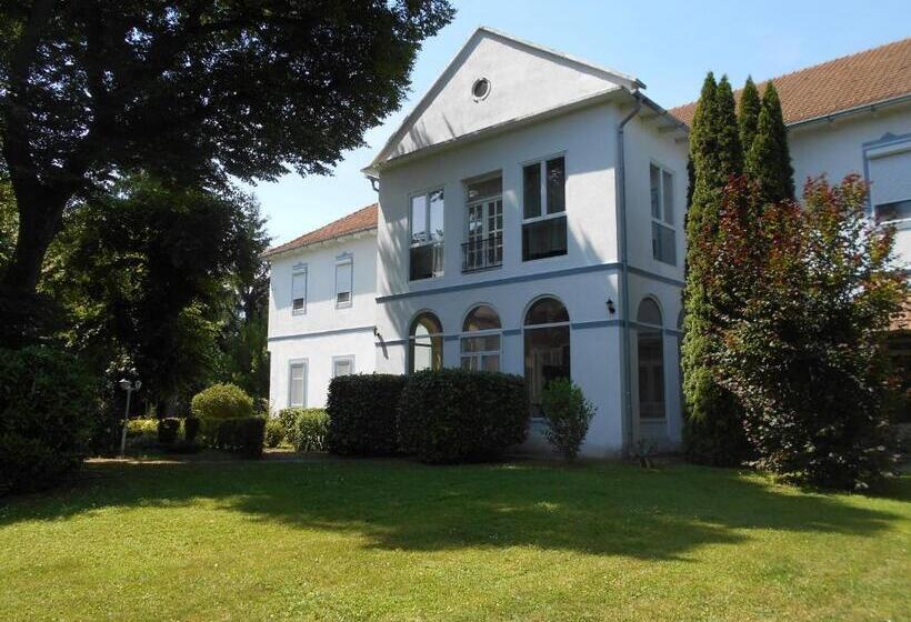 مبيت وإفطار Fábiánics Kastély Misefa