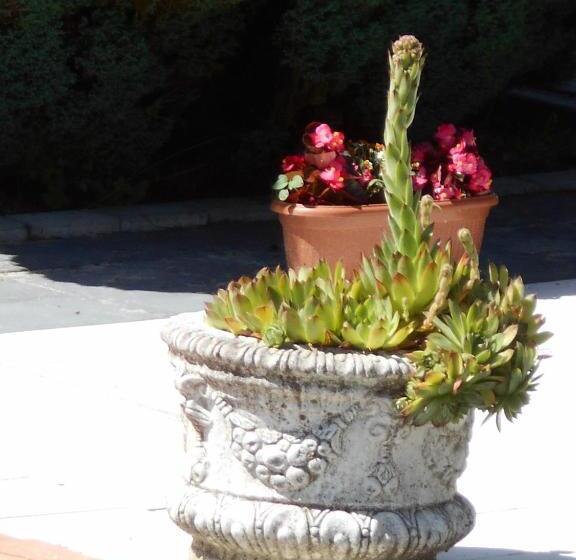 مبيت وإفطار Fábiánics Kastély Misefa