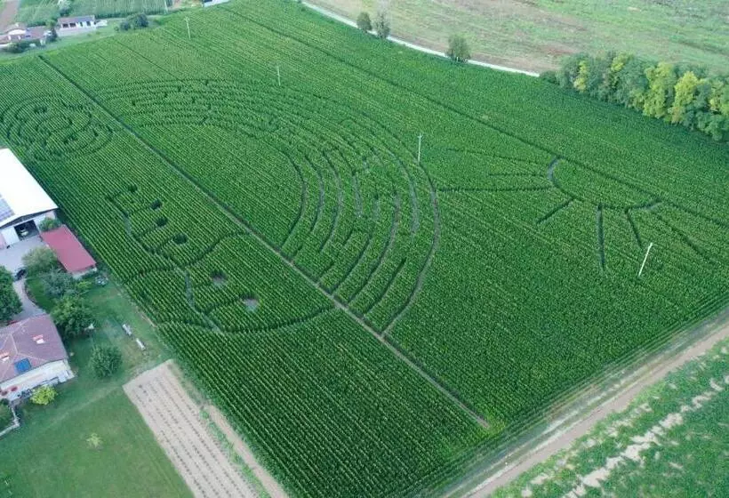 ベッドアンドブレックファースト La Selce Farmhouse