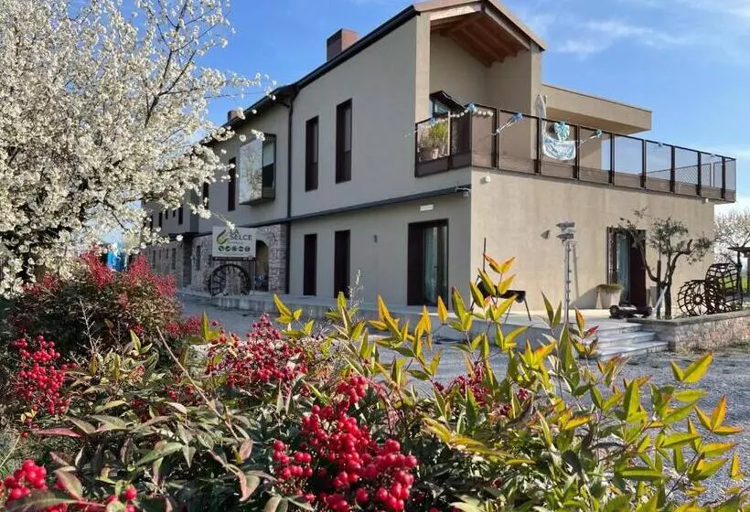 ベッドアンドブレックファースト La Selce Farmhouse