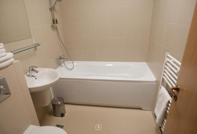 هتل Central Carei