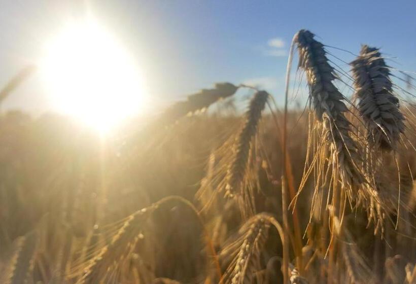 Отель Gasthaus & Pension Natzke