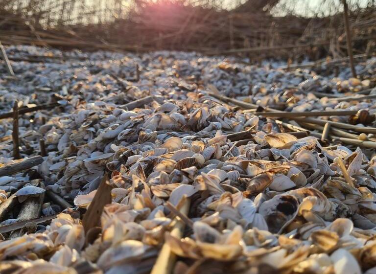 Отель Gasthaus & Pension Natzke