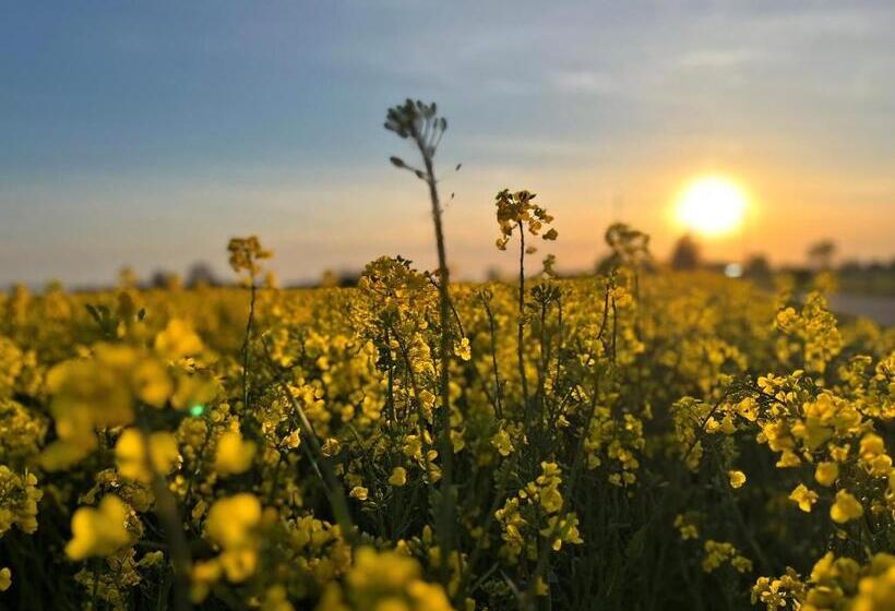 Отель Gasthaus & Pension Natzke