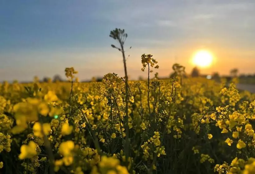 Hotelli Gasthaus & Pension Natzke