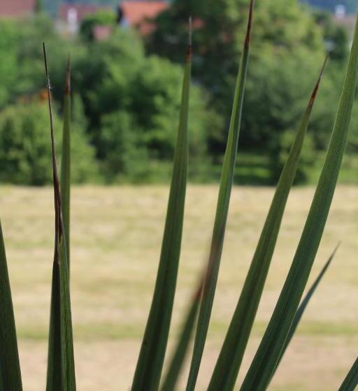 فندق Landgasthof Ritter