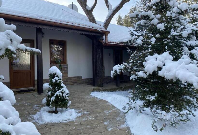 פנסיון András Penzión