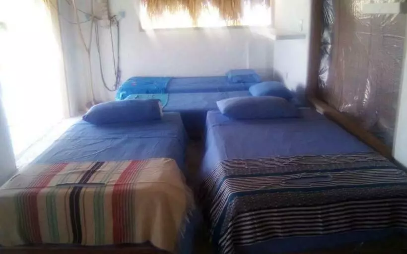 ペンション Hostal Coral Blue