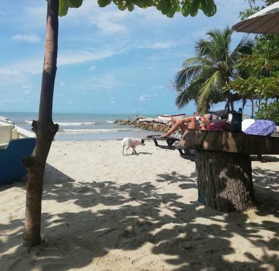 پانسیون Hostal Coral Blue