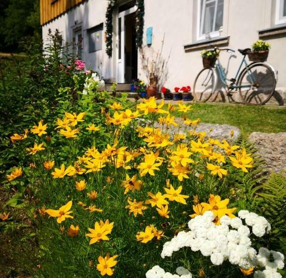 Pension (Hôtel basse catégorie) Dukát Kořenov