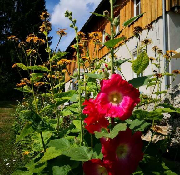 Pension (Hôtel basse catégorie) Dukát Kořenov