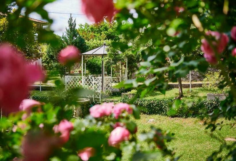 Пансион Stazione 8