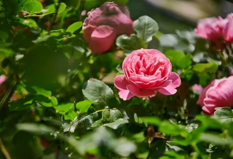 ペンション Stazione 8