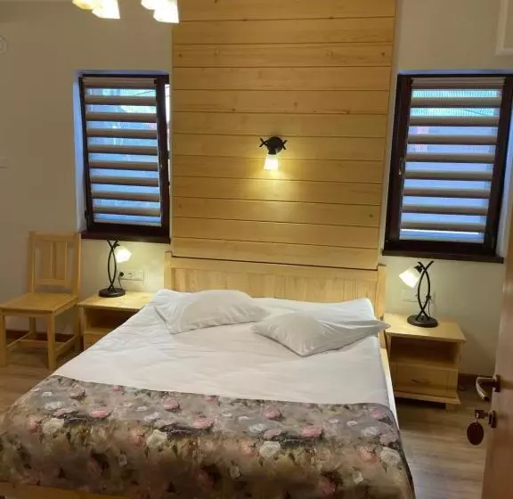 Majatalo Villa Montana Borsec